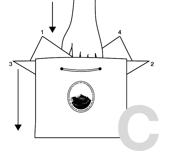 Group 3 — Figure C